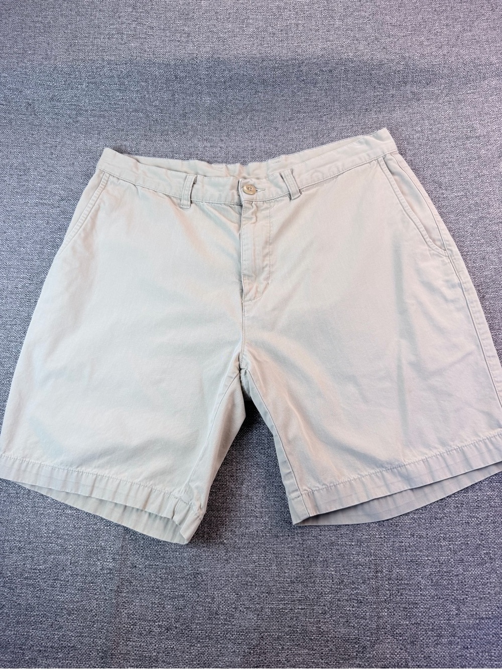Patagonia Light Khaki Flat-Front Men's Shorts